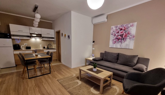 Apartment & Rooms Corina pleasant and peaceful vacation for up to 9 people.