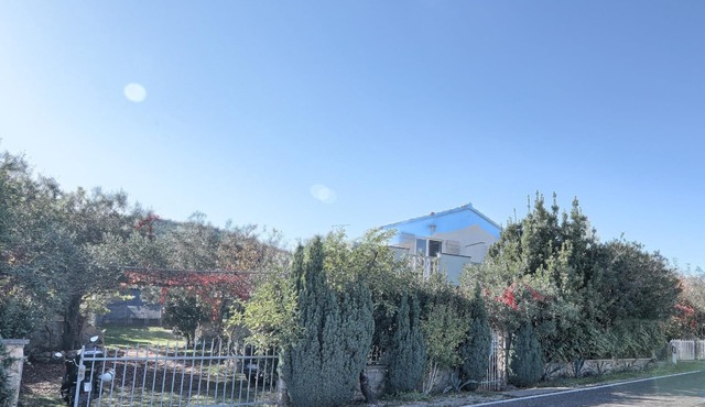 Apartment Rosa
