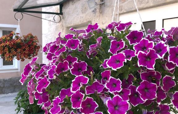 Apartment Roso in Kaštela