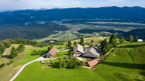 Apartment Skala with Magnificent view in Rečica ob Savinji