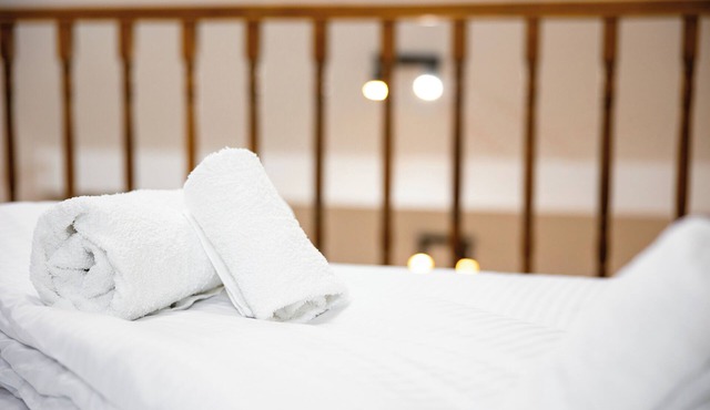 Apartment Sleeps 4 with Pets Welcome in Timisoara