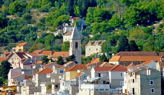 Apartment Svjetlana, (11662), Prvic Luka, hr