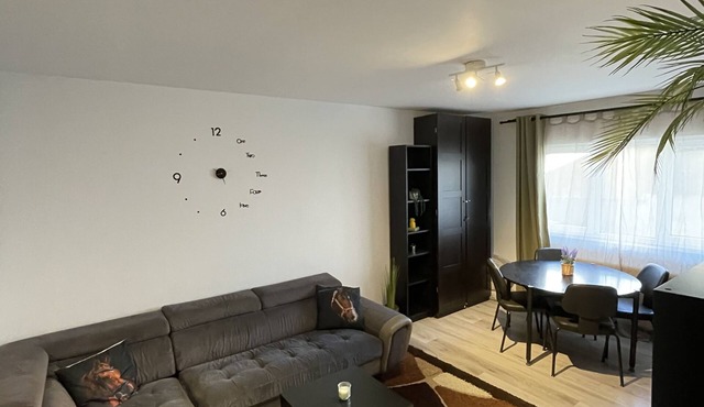 Apartment Tremil in Borșa