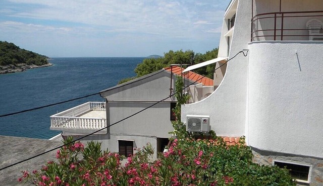 Apartment Zirje with sea view near the beach