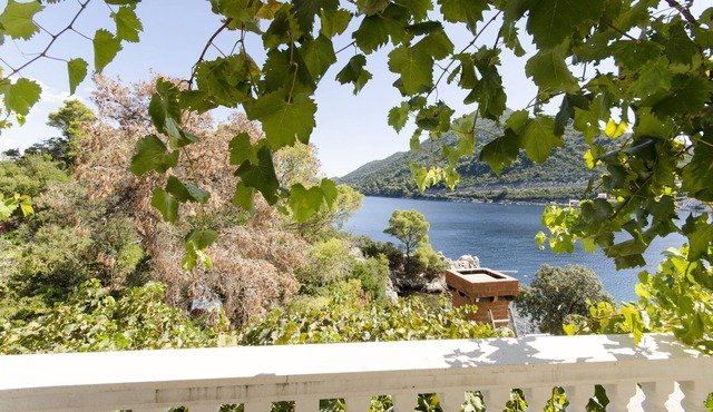 Apartments and Rooms Nike (50271-S4) - Sobra - island Mljet in Sobra - island Mljet