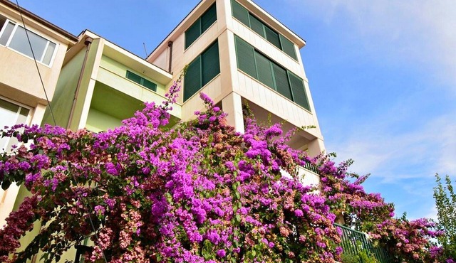 Apartments Anđelka, (13814), Makarska, hr