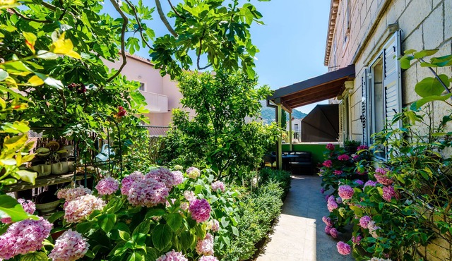 Apartments and Room Frane - Double Room
