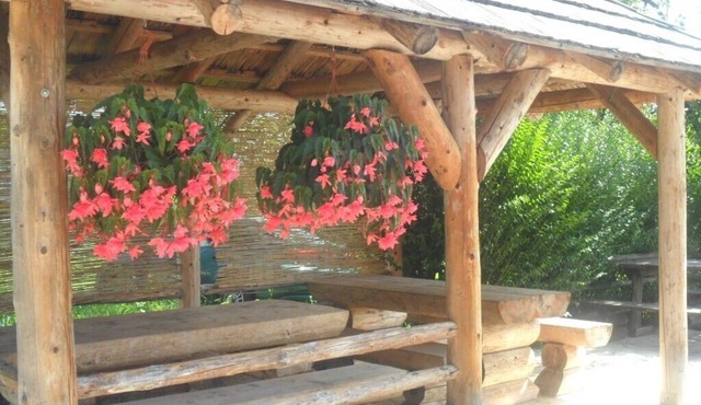Apartments and rooms Ivanka, (13916), Rakovica, hr