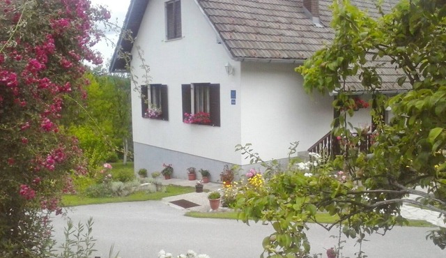 Apartments and rooms Stipe, (10195), Poljanak, Plitvicka Jezera, hr