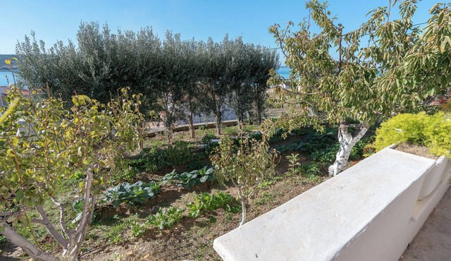Apartments Andrija (10439-A1) - Rtina