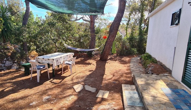 Apartments Antica (49561-A2) - Basina in Basina
