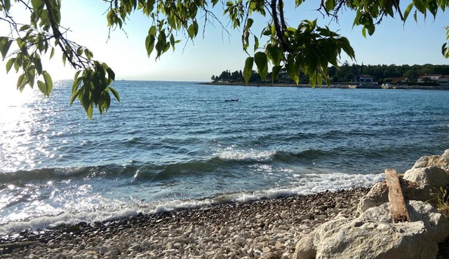Apartments Beachfront Spina
