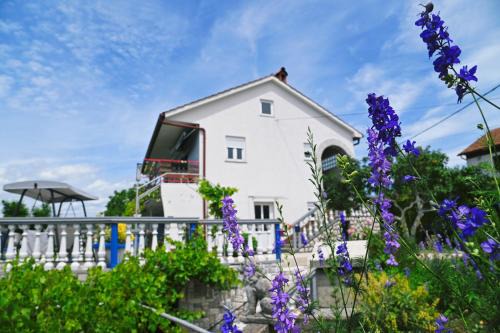 Apartments Biondi in Viskovo