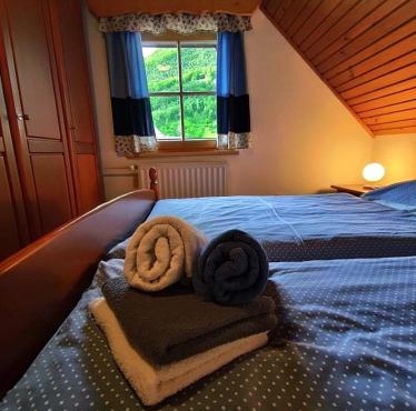 Apartments Cesar in Bohinj