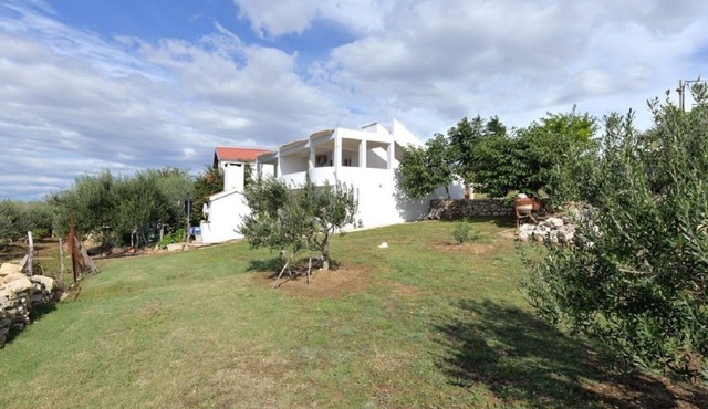 Apartments Edi (105881-A1) - Razanac