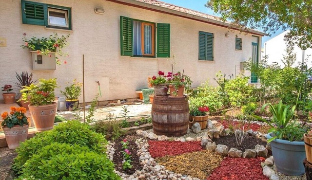 Apartments Irena, (14992), Petrcane, hr