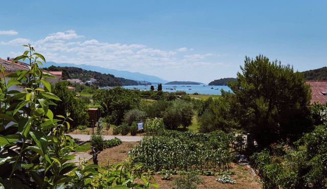 Apartments Ivan (104751-A1) - Kampor - island Rab in Kampor - island Rab
