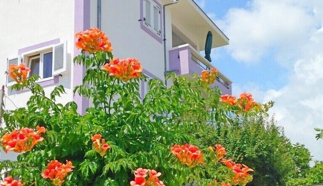 Apartments Ljiljana, (14586), Vinišce, hr