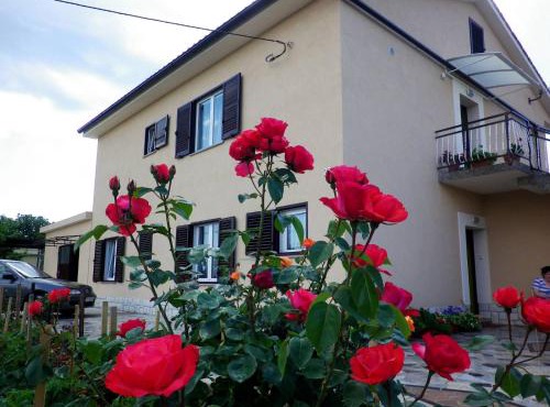 Apartments Rusin