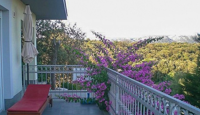 Apartments Tanja (95511-A1) - Kampor - island Rab