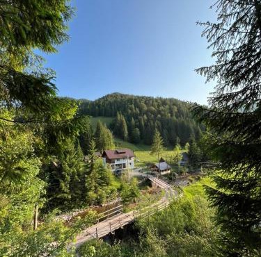 Apuseni Escape in Garda de Sus