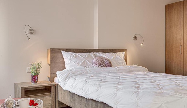 ARI Central Grand Apartment in Arad