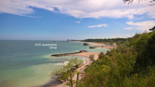 Avo Apartments in Olimp