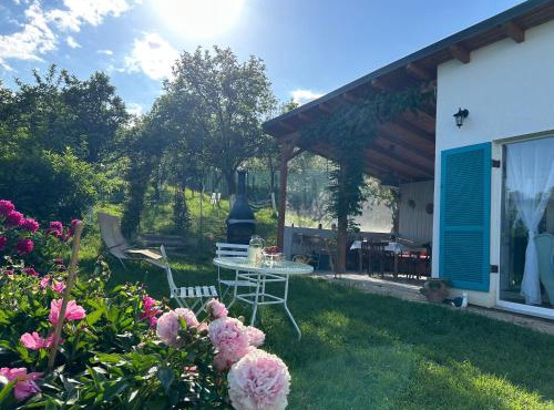 Backyard Cottage in Sebes