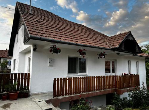 Balázs Vendégház in Lupeni