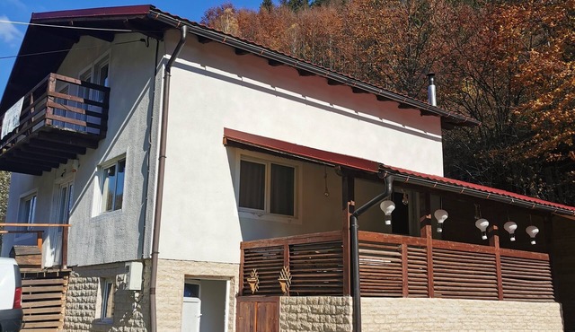 Beautiful and Cosy 5 Bedrooms Vila , Near Boli Cave a Unique Nature Creation in Petroșani