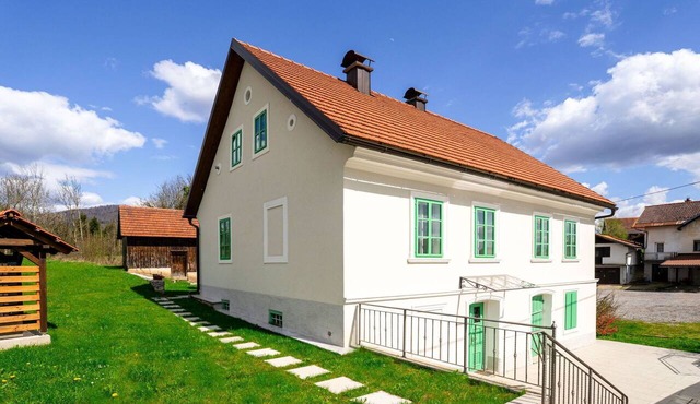 Beautiful private villa for 10 guests with WIFI, TV, terrace and pets allowed in Senjsko