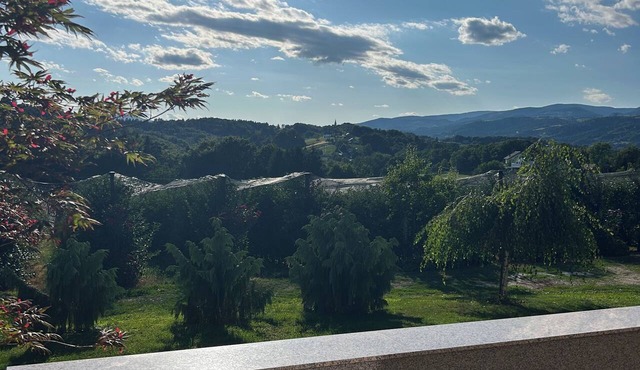 Bed&Breakfast ZEMKO in Slovenska Bistrica
