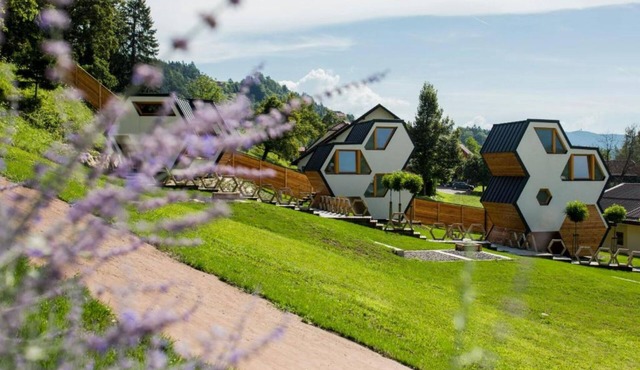 Bee House Kasandra, Mozirje, Slovenia in Mozirje