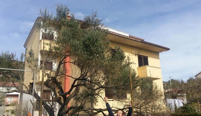 Begovi Dvori in Rab
