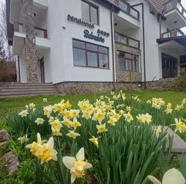 Belvedere GreșuLepșa in Greşu