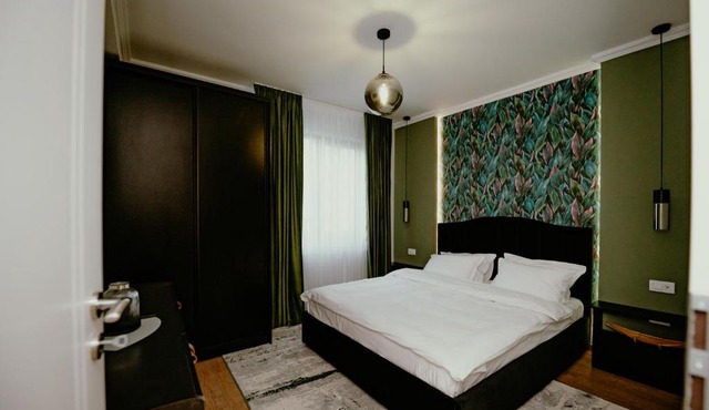 Best House in Botosani