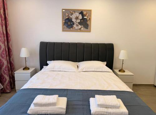 Best4You Apartment Therme Airport in Balotesti