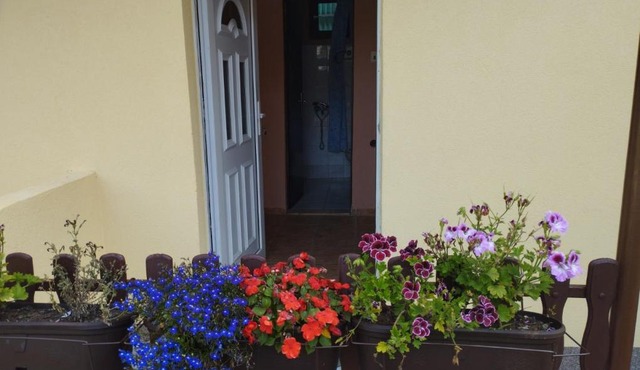 Biljana's guest house in Novi Sad