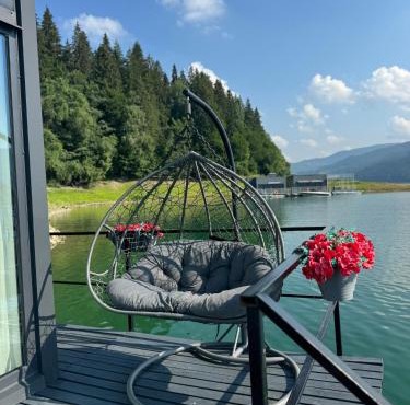 Black Swan Lakehouse in Bicaz