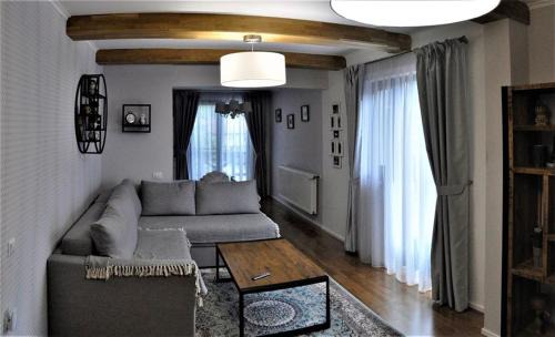 Black Valley House in Stulpicani