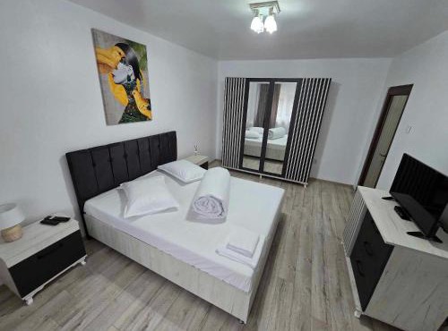 BlueBee Apartment in Orastie