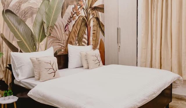 Bohemian 3BHK Oasis near Dhan Mill in New Delhi
