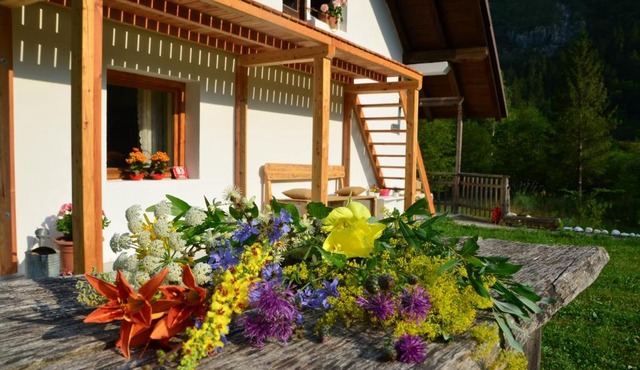 Bovec Home At Three Samoyeds in Soča