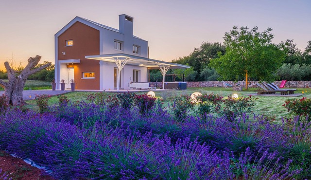 Brajdine Lounge overlooking an enchanting lavender field