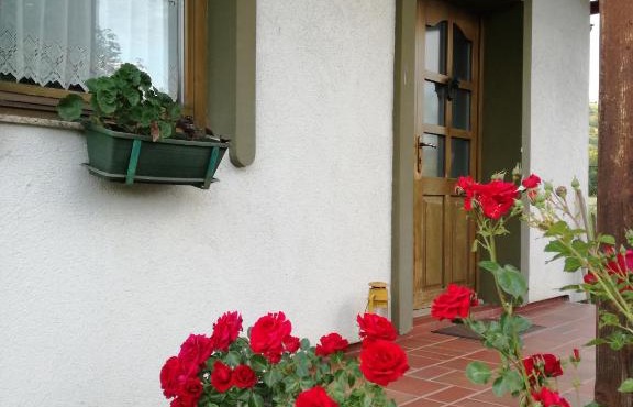 Buena Vista in Brădeşti