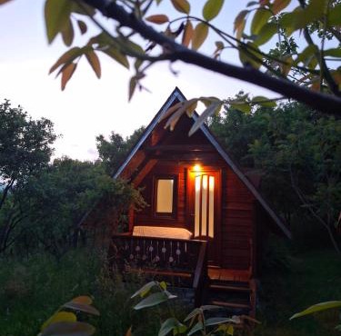 Căbănuță rustică 03 in Banita