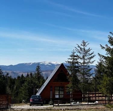Cabană Panoramic Aframe in Dealu Negru