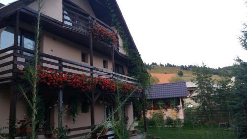 Cabana Ada 2 in Nucet