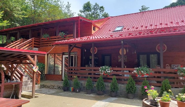 Cabana Alpha in Baia Mare
