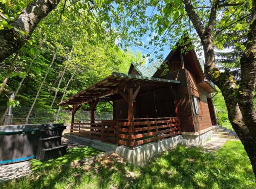Cabana Anita in Sovata